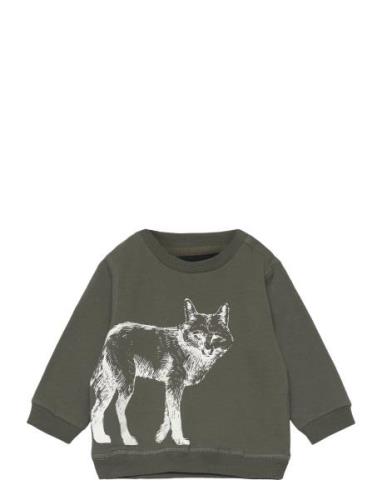 Sofie Schnoor Baby And Kids Sweatshirt Khaki Green