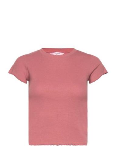 Hunkemöller Top Ss Cotton Rib Babylock Rosa