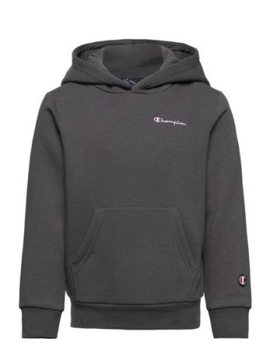 Champion Hooded Sweatshirt Grå