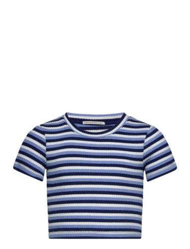 Tom Tailor Cropped Striped Rib T-Shirt Blå