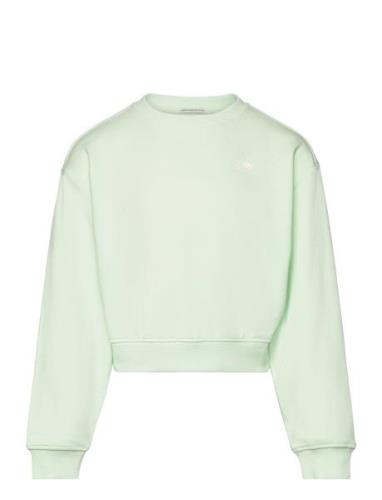 Tom Tailor Cropped Printed Sweatshirt Grön