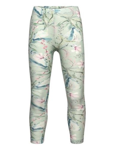 Name It Nmfdolly Xsl Legging Grön