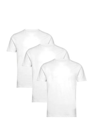 Bruun & Stengade Bs Antiqua Regular Fit T-Shirt Vit