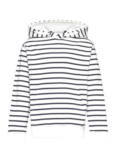 Mango Striped Hooded Sweatshirt Multi/patterned