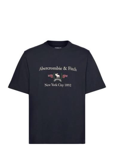 Abercrombie & Fitch Anf Mens Graphics Blå