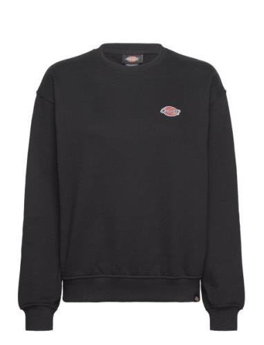 Dickies Millersburg Sweatshirt Svart