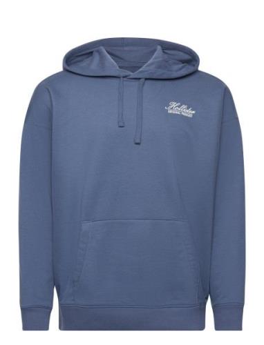 Hollister Hco. Guys Sweatshirts Blå