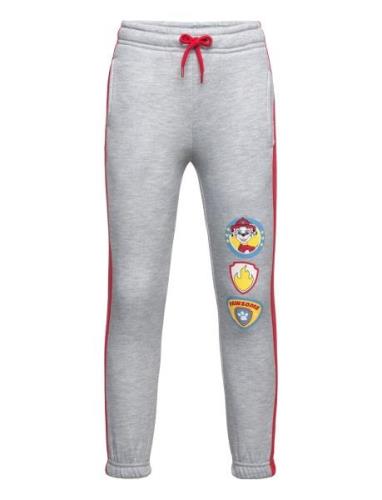 Paw Patrol Jogging Pant Grå