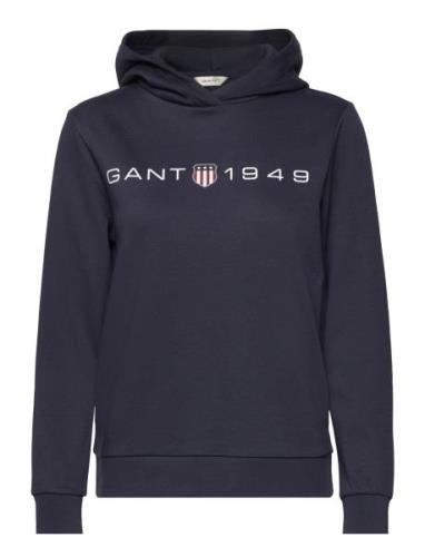 GANT Reg Printed Graphic Hoodie Blå