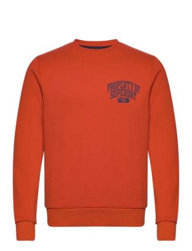 Superdry Athletic Script Flock Sweat Orange