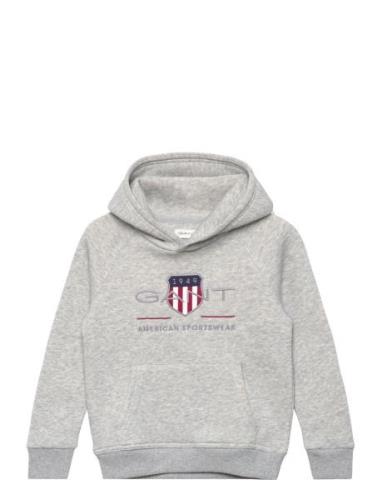 GANT Archive Shield Raglan Hoodie Grå