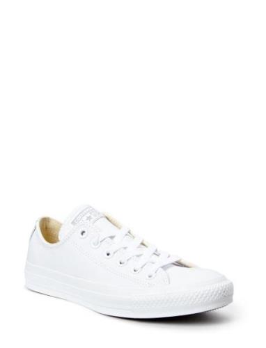 Converse Chuck Taylor All Star Vit