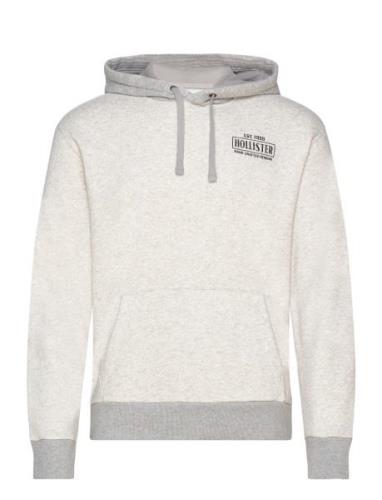 Hollister Hco. Guys Sweatshirts Grå