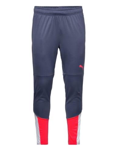 PUMA Individualcup Training Pants Blå