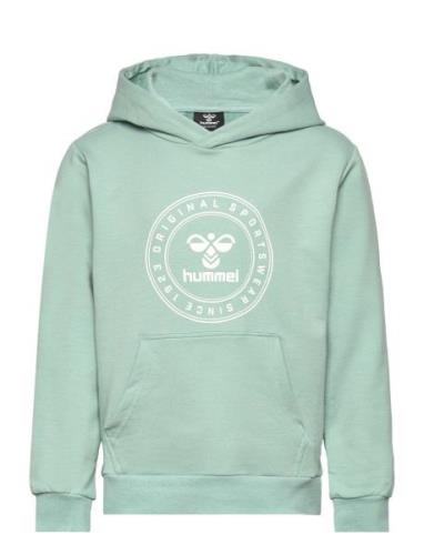 Hummel Hmlcuatro Circle Hoodie Grön