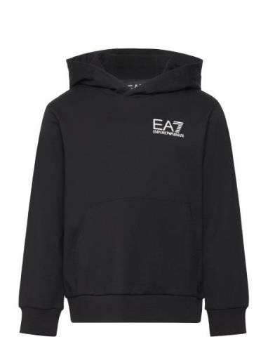 EA7 Sweatshirt Svart