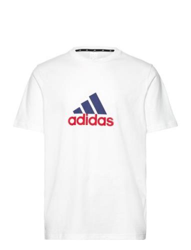 Adidas Sportswear M Fi Bos T Oly Vit