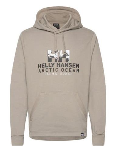 Helly Hansen Arctic Ocean Hoodie Beige