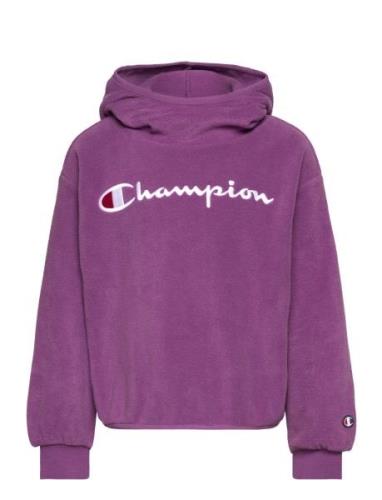 Champion Hooded Sweatshirt Lila