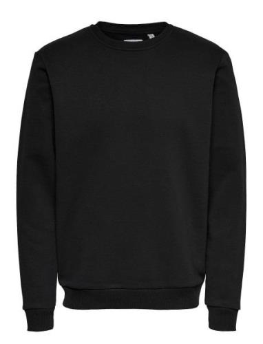 ONLY & SONS Onsceres Crew Neck Noos Svart