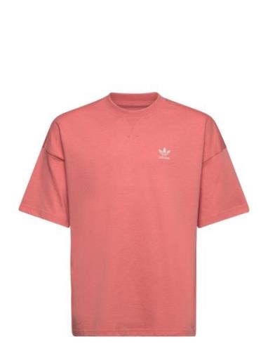 Adidas Originals Tee Korall