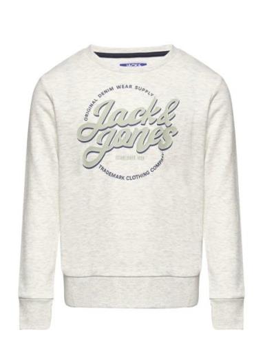 Jack & J S Jjminds Sweat Crew Neck Jnr Grå