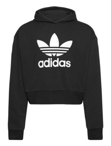 Adidas Originals Cropped Hoodie Svart