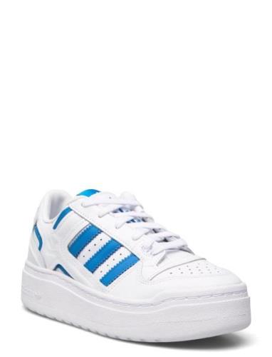 Adidas Originals Forum Xlg W Vit