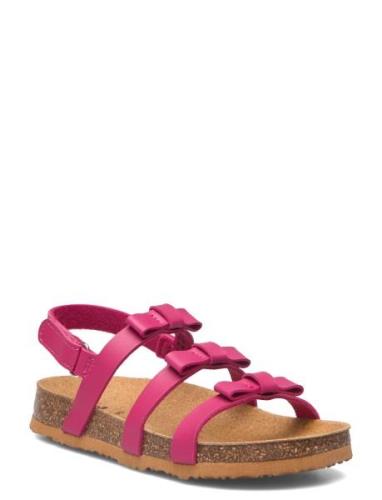 Scholl Sl Starfish Pu Leather Rosa