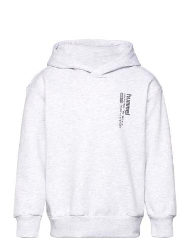 Hummel Hmldante Hoodie Grå