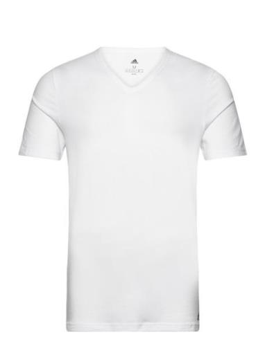 Adidas Underwear V-Neck Vit