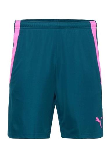 PUMA Teamliga Training Shorts 2 Blå