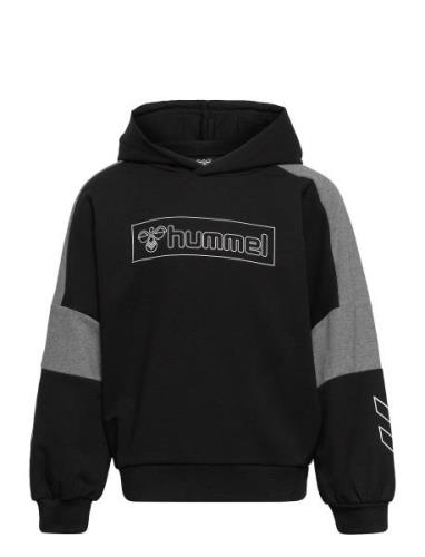 Hummel Hmlboxline Hoodie Svart