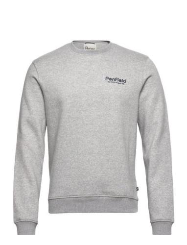 Penfield Hudson Script Crew Bb Sweat Grå