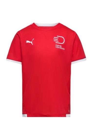 PUMA Teamliga Jersey Jr Röd