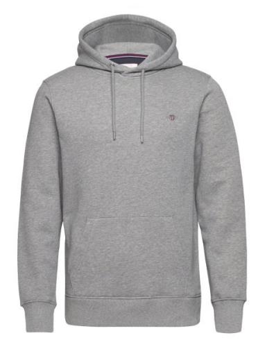 GANT Reg Shield Hoodie Grå