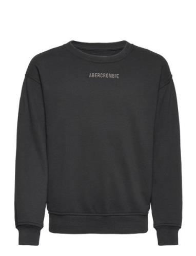 Abercrombie & Fitch Kids Boys Sweatshirts Svart