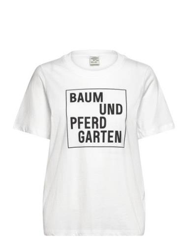 Baum Und Pferdgarten Jawo Vit