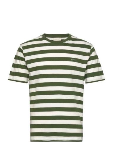 GANT Stripe Ss T-Shirt Grön