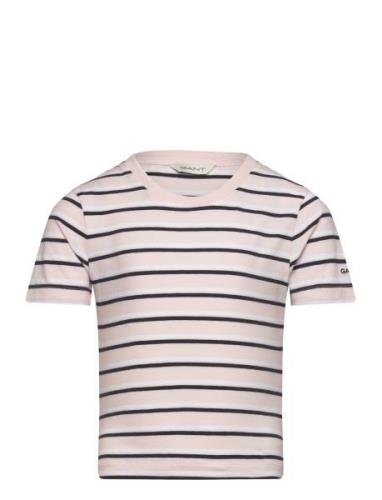 GANT Striped T-Shirt Rosa