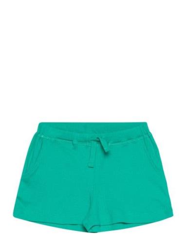 Copenhagen Colors Rib Jersey Shorts Grön