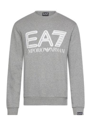 EA7 Sweatshirts Grå