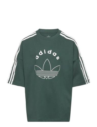 Adidas Originals Tee Grön