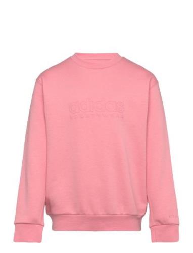 Adidas Sportswear J Szn Gfx Crew Rosa