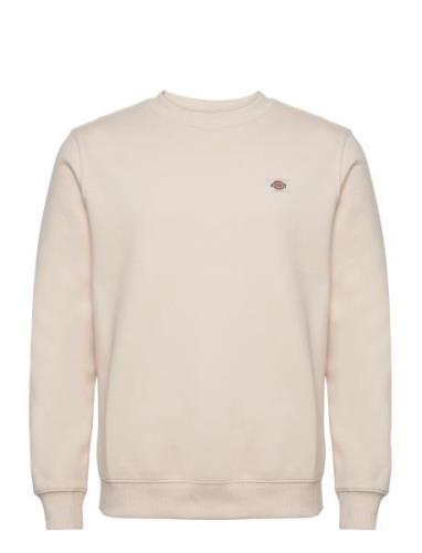 Dickies Oakport Sweatshirt Kräm