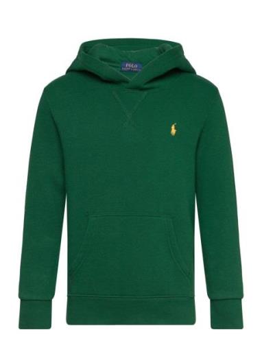 Ralph Lauren Kids Seasonal Fleece-Ls Po Hood-Tp-Knt Grön