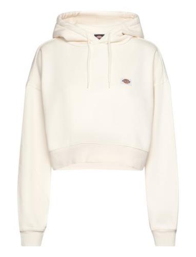 Dickies Oakport Cropped Hoodie Kräm