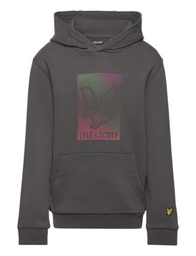 Lyle & Scott Dotted Eagle Graphic Hoodie Grå