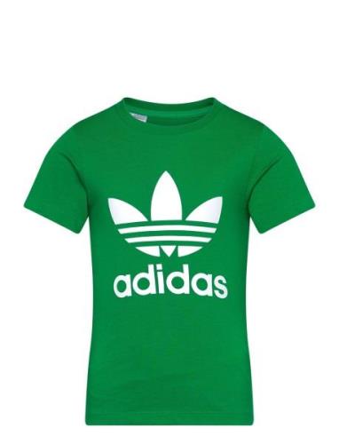 Adidas Originals Trefoil Tee Grön