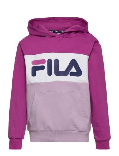 FILA Bagana Blocked Hoody Rosa